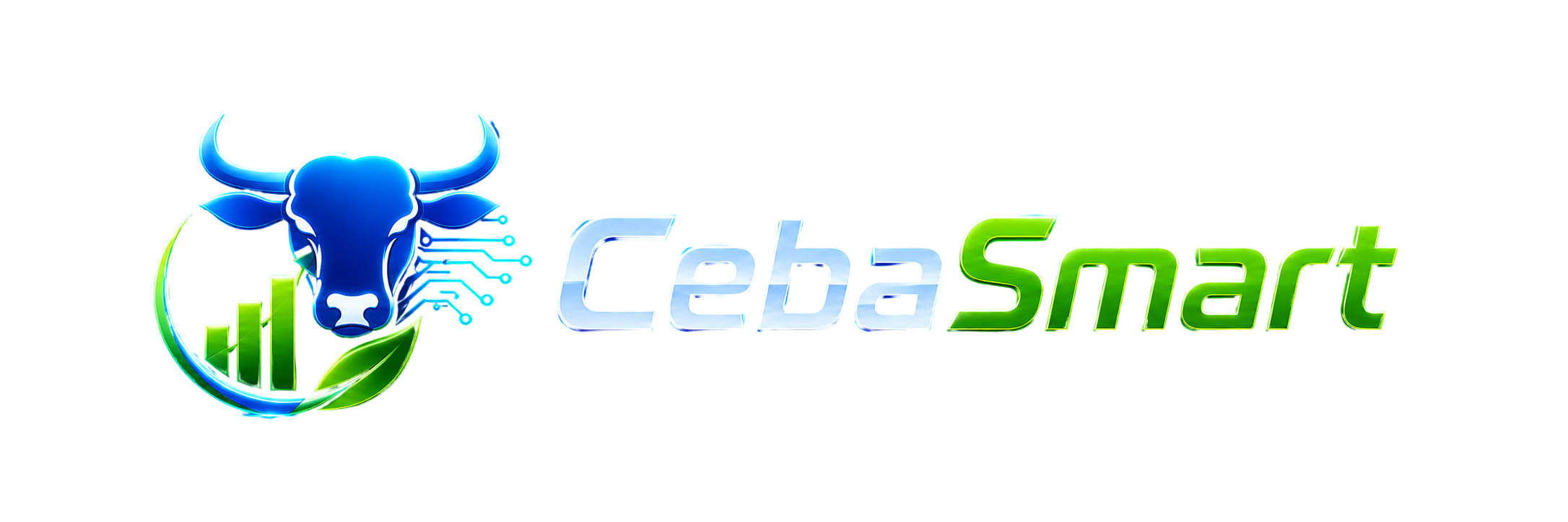 CebaSmart