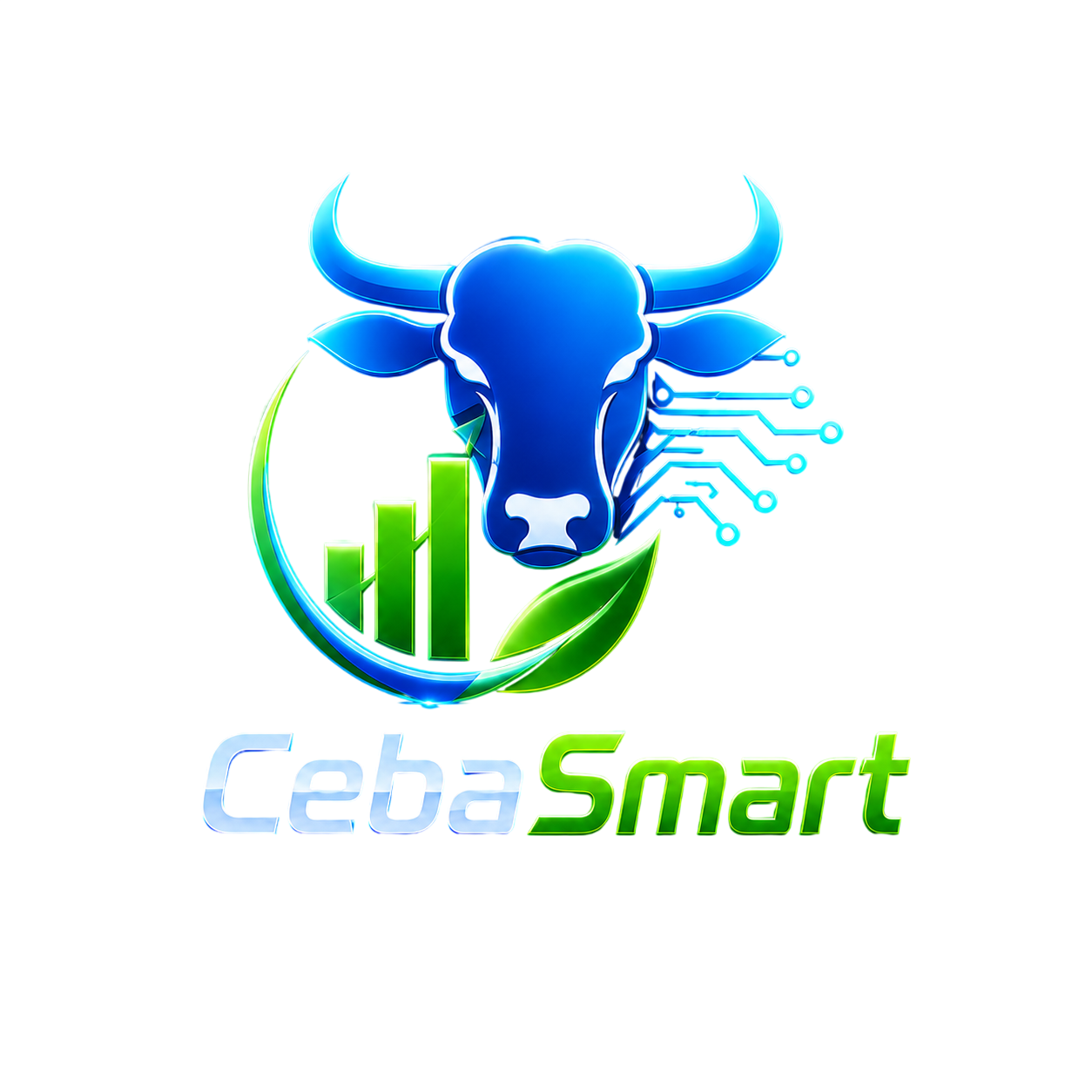 CebaSmart